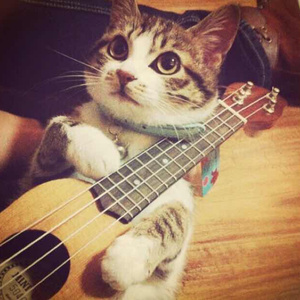 免费AV网站在线观看
