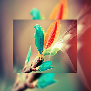 免费AV网站在线观看
